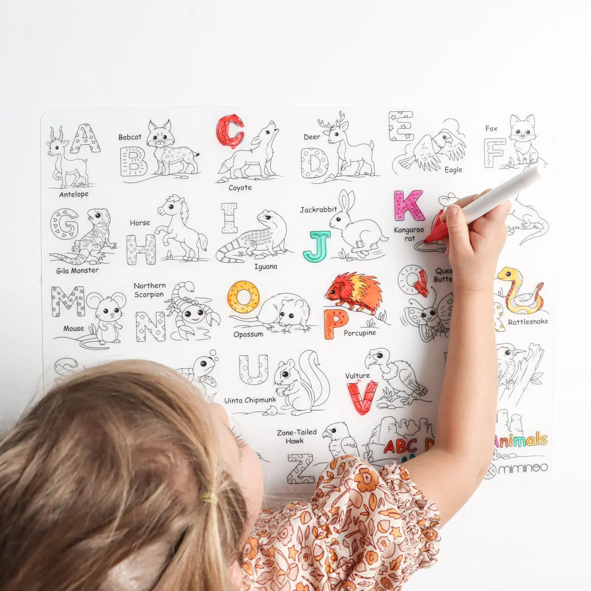 Silicone Reusable Coloring Mat & Markers Set - Desert Animals ABC - MKS Miminoo