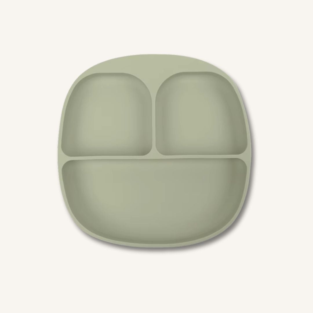 New Silicone suction kids plate w/ dividing sections Fern