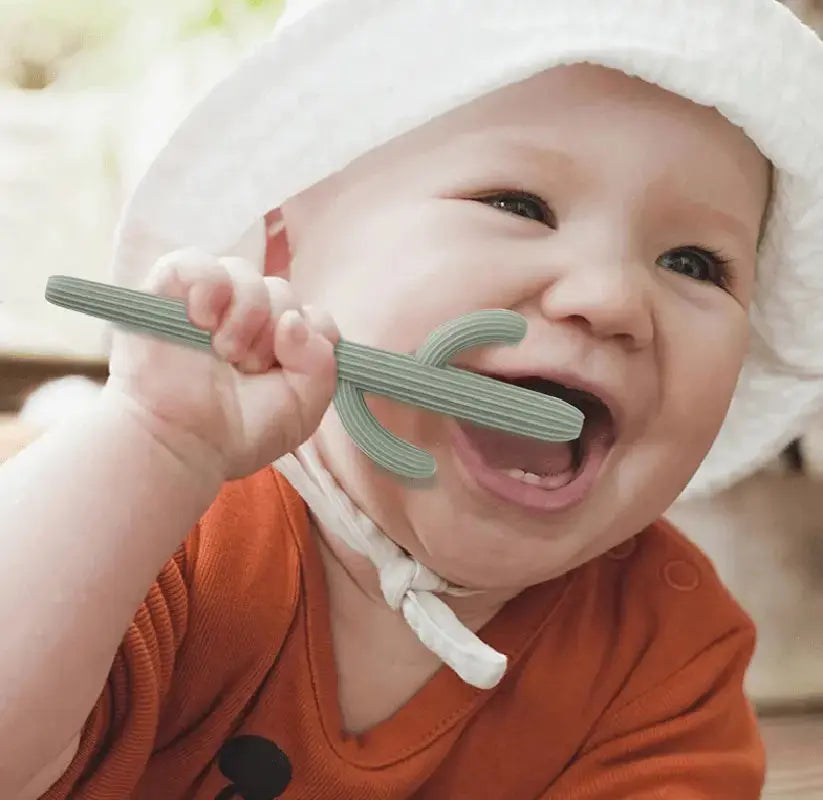 Cactus Silicone Teether & Straw for kids and adults - MKS Miminoo