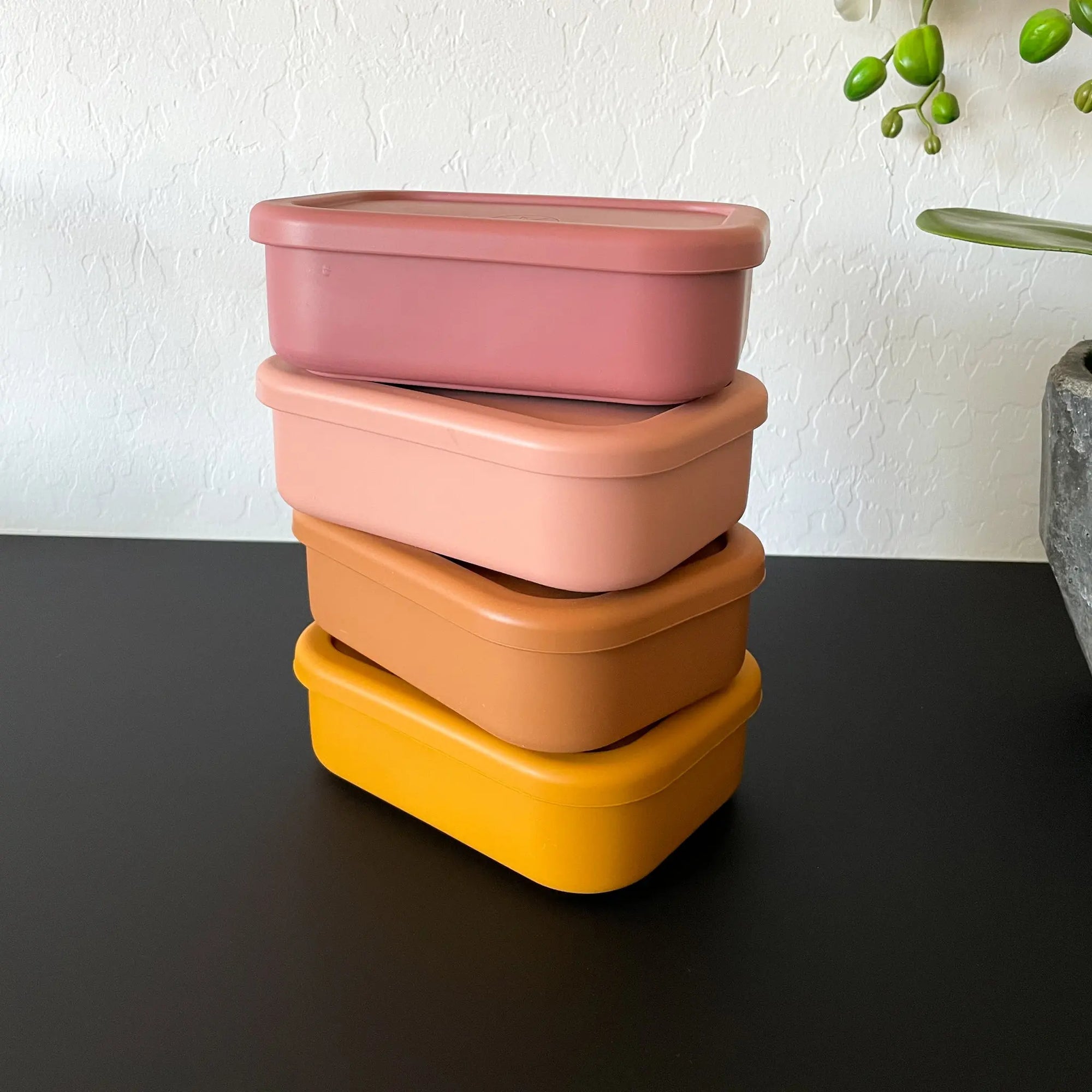 Silicone Bento Lunch & Snack Box for kids & adults Mango - MKS Miminoo